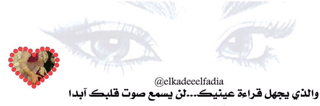 elkadeeelfadia's profile banner image