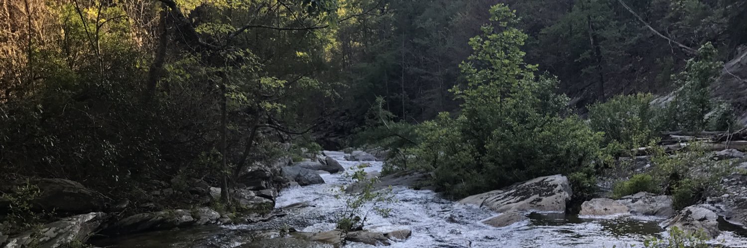 SewellGregory's profile banner image