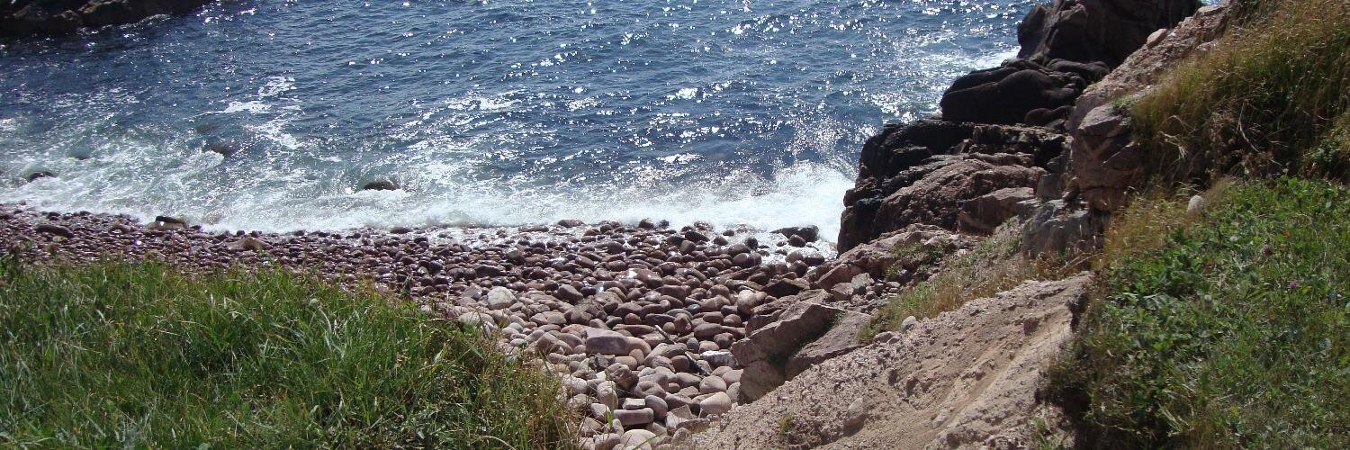 Ontario Environment Network banner