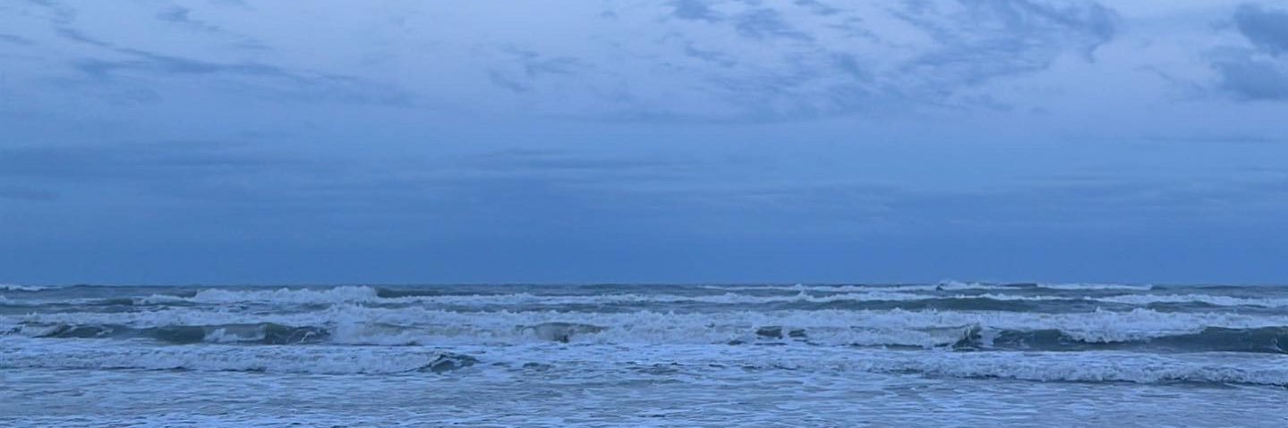 alysia💭 banner