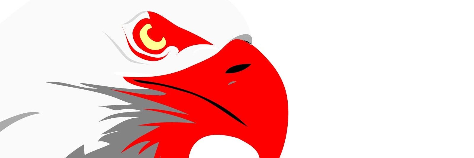 Hot Wings banner