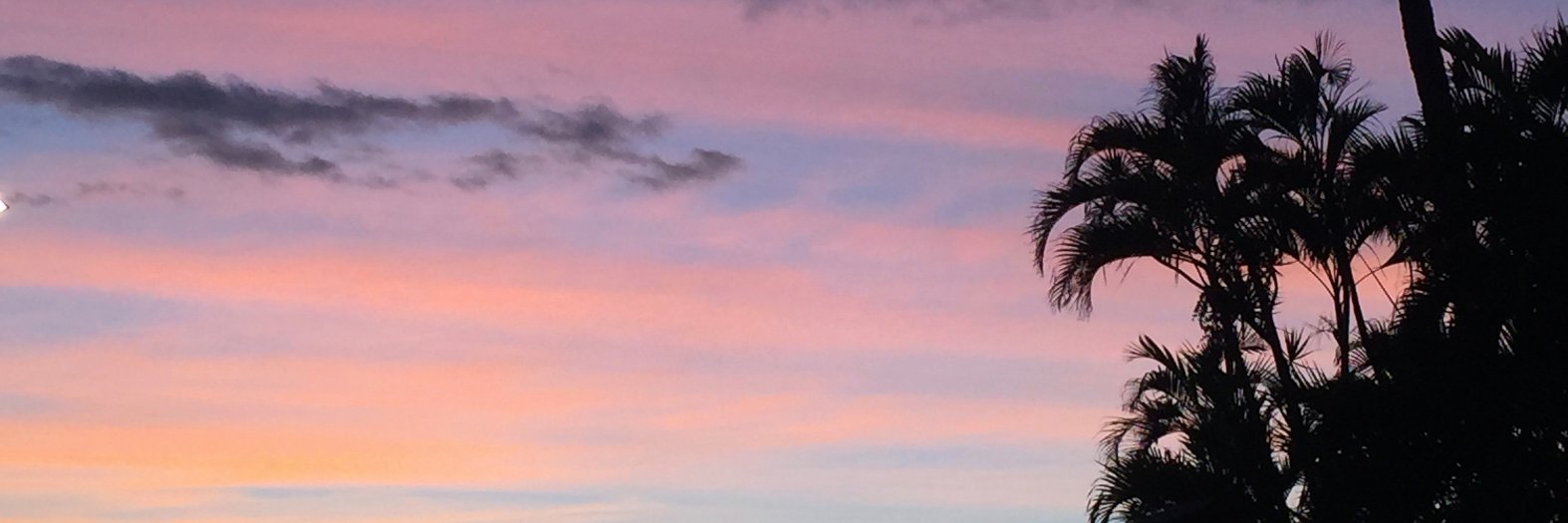 Lisa Baran 🇺🇦🌻🟦🟧 banner