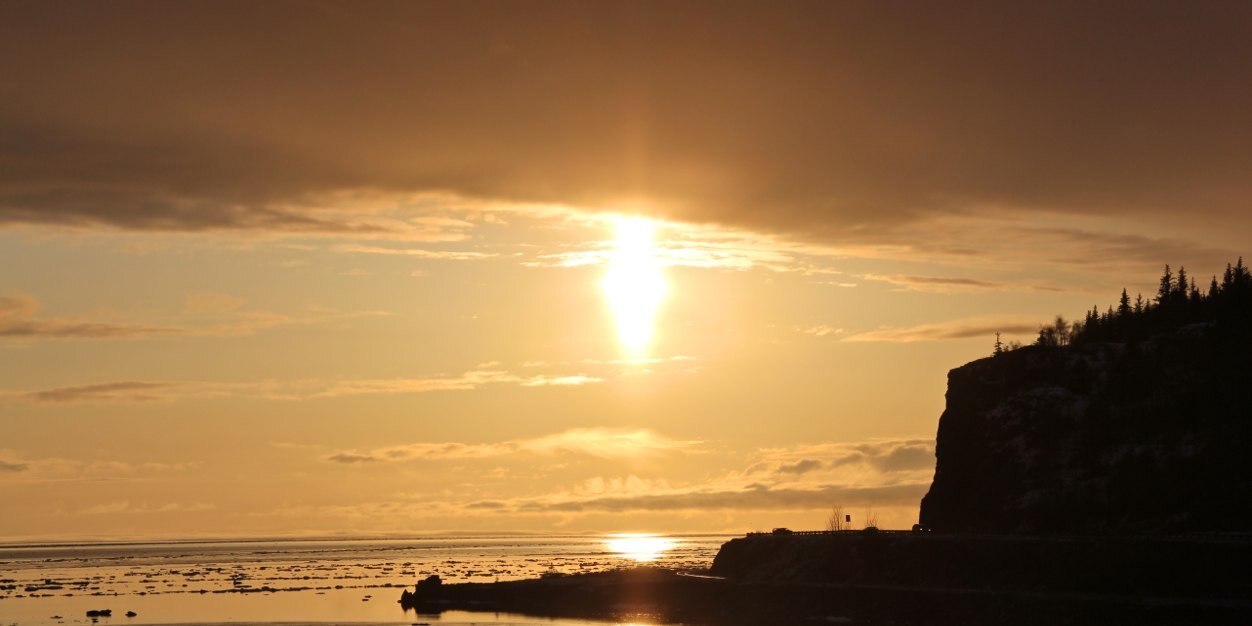 turnagainarm01's profile banner image