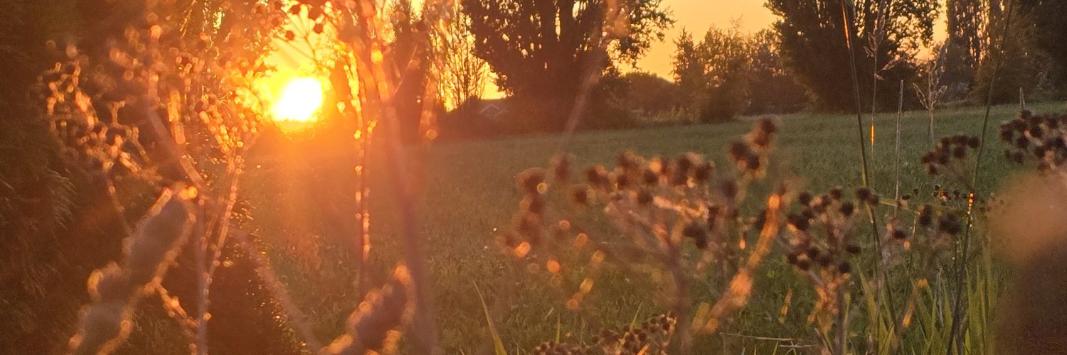 itsavernthing's profile banner image