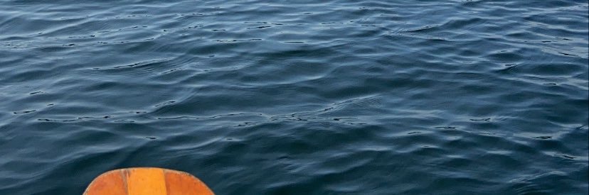 _dbrownxoxo's profile banner image
