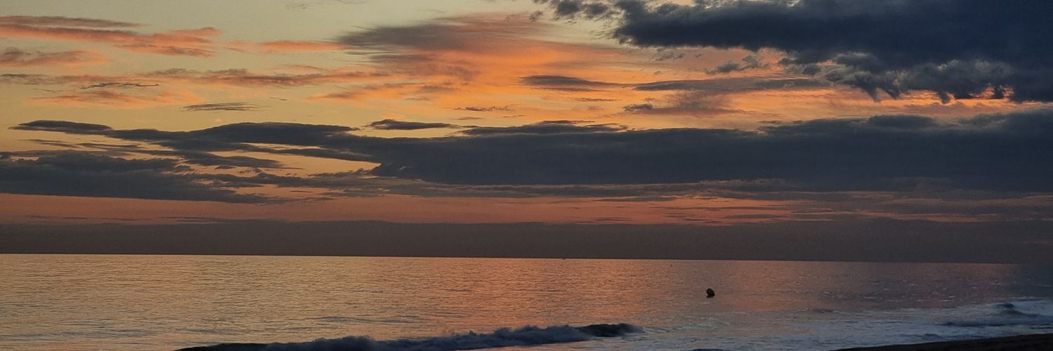 aliciaalp14's profile banner image