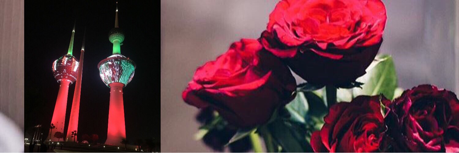 AlsalmLady's profile banner image