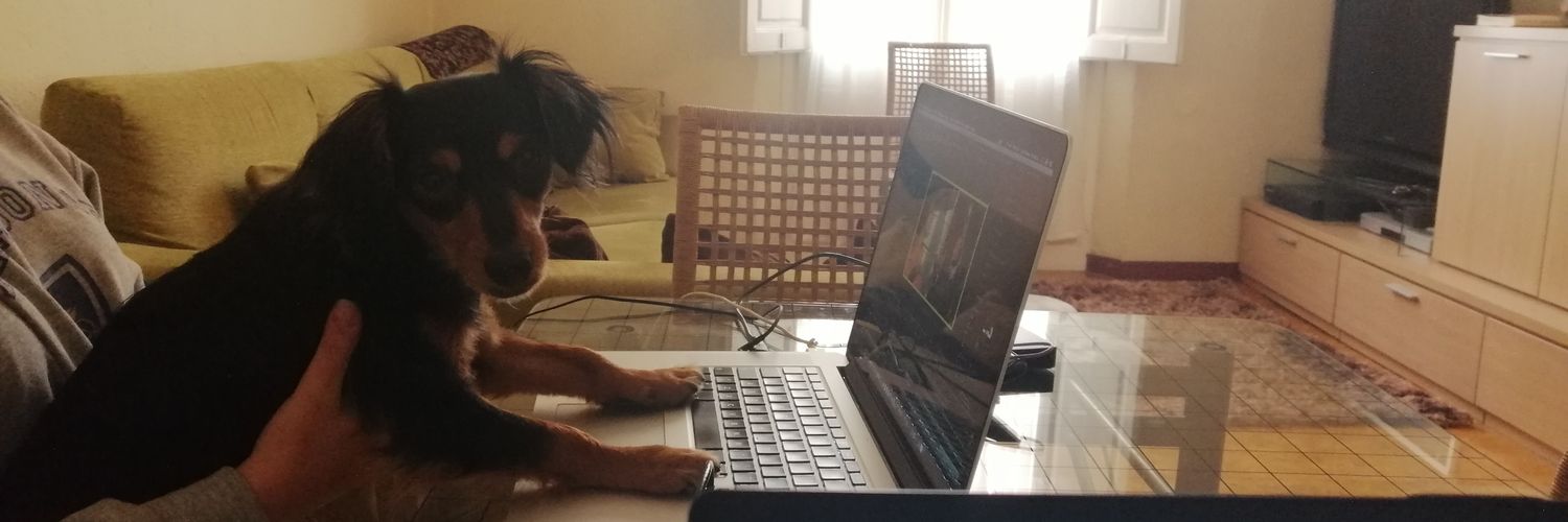 ®️ᴀᴍᴏɴ SUÑÉ 🐕 banner