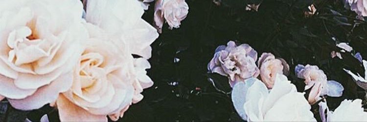 kuuleiwalker's profile banner image