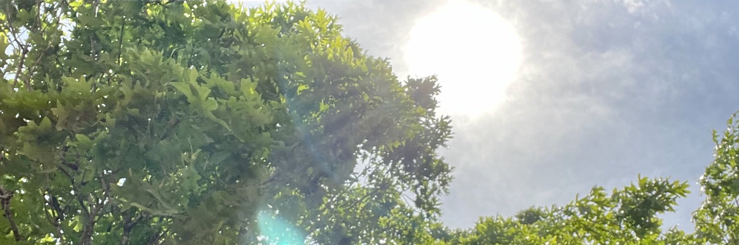 CassandraB2018's profile banner image