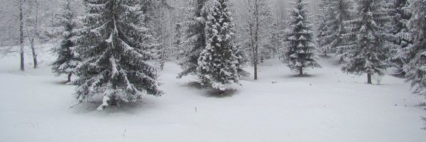tomdanielquinn's profile banner image