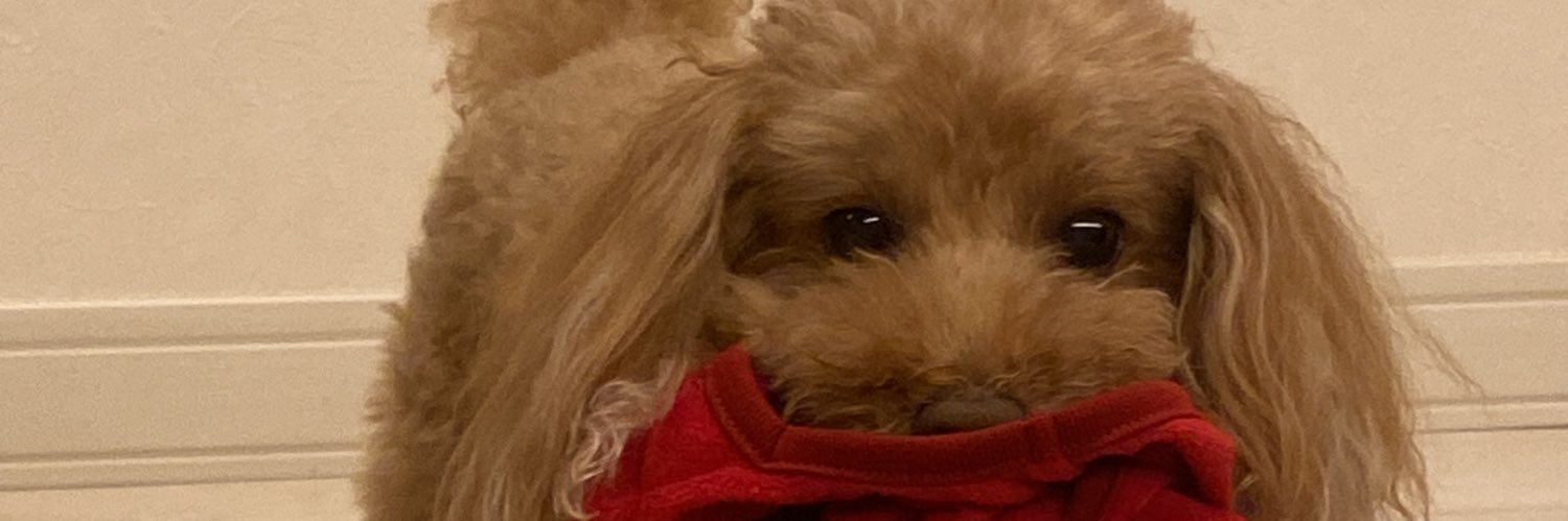 beansyuka's profile banner image