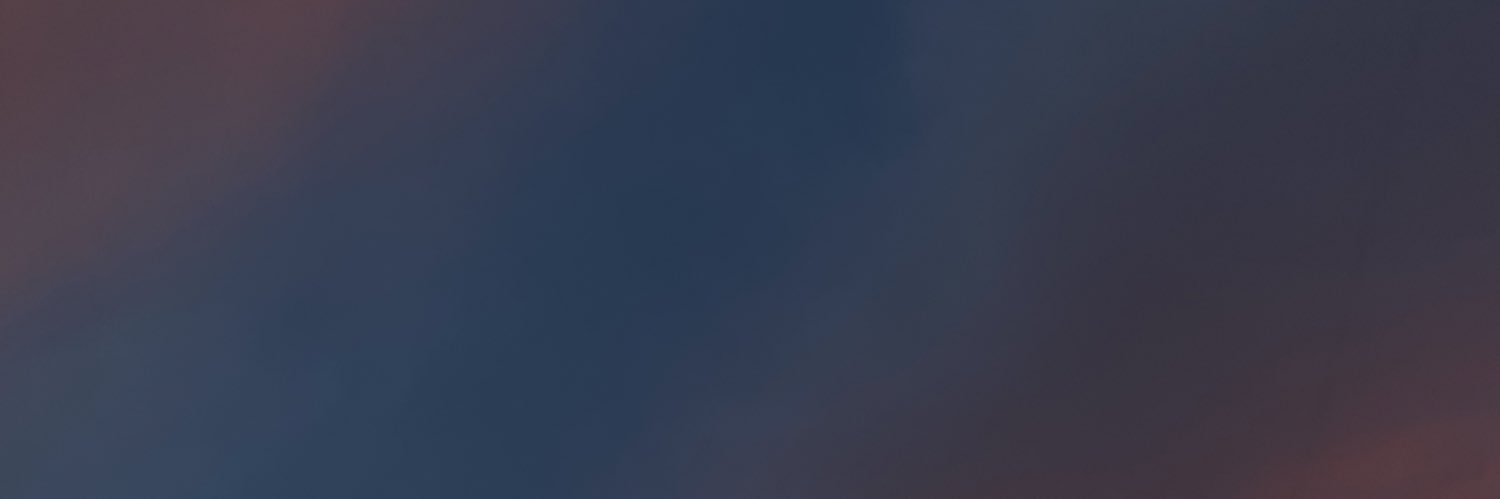 nspadulaa's profile banner image