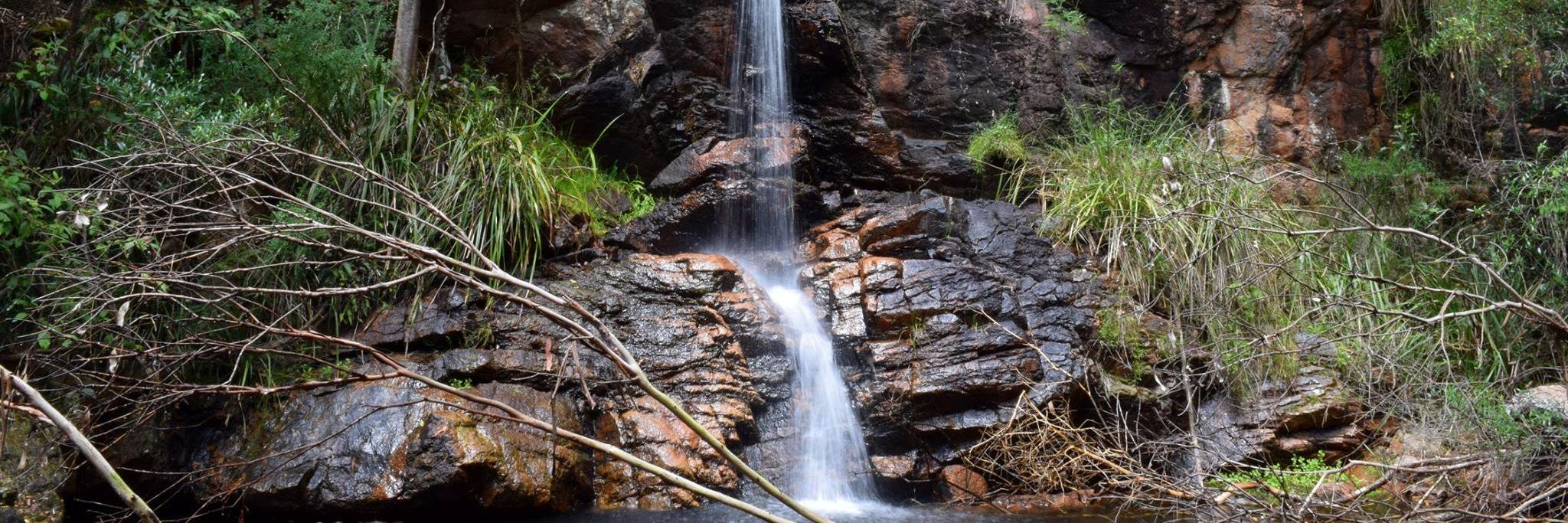 🌞Phillip Somerville banner