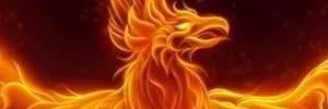 Mr_Braum's profile banner image