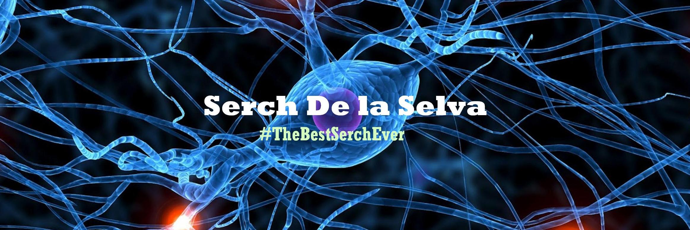 SerchDeLaSelva's profile banner image