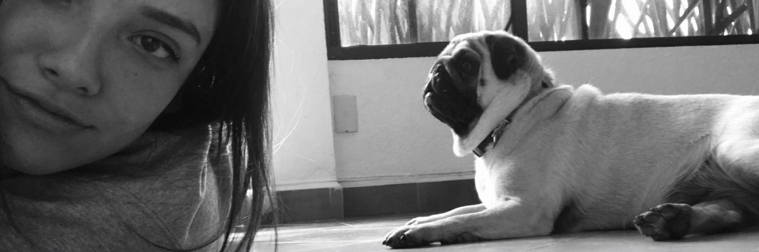 Karohigareda's profile banner image