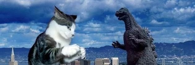 kevinaprox's profile banner image
