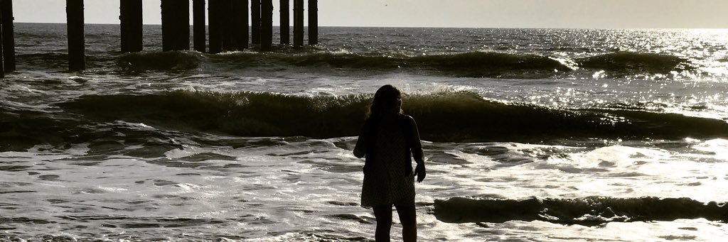 NicoleBaringer's profile banner image