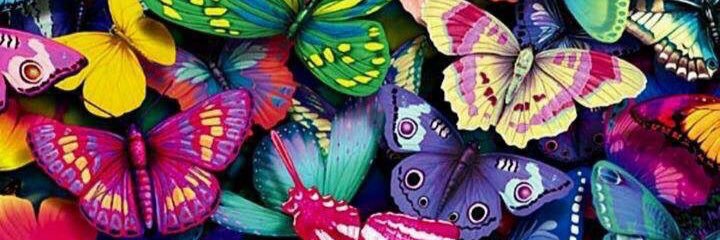 susanitacos's profile banner image