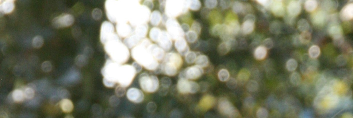 TyniHoving's profile banner image