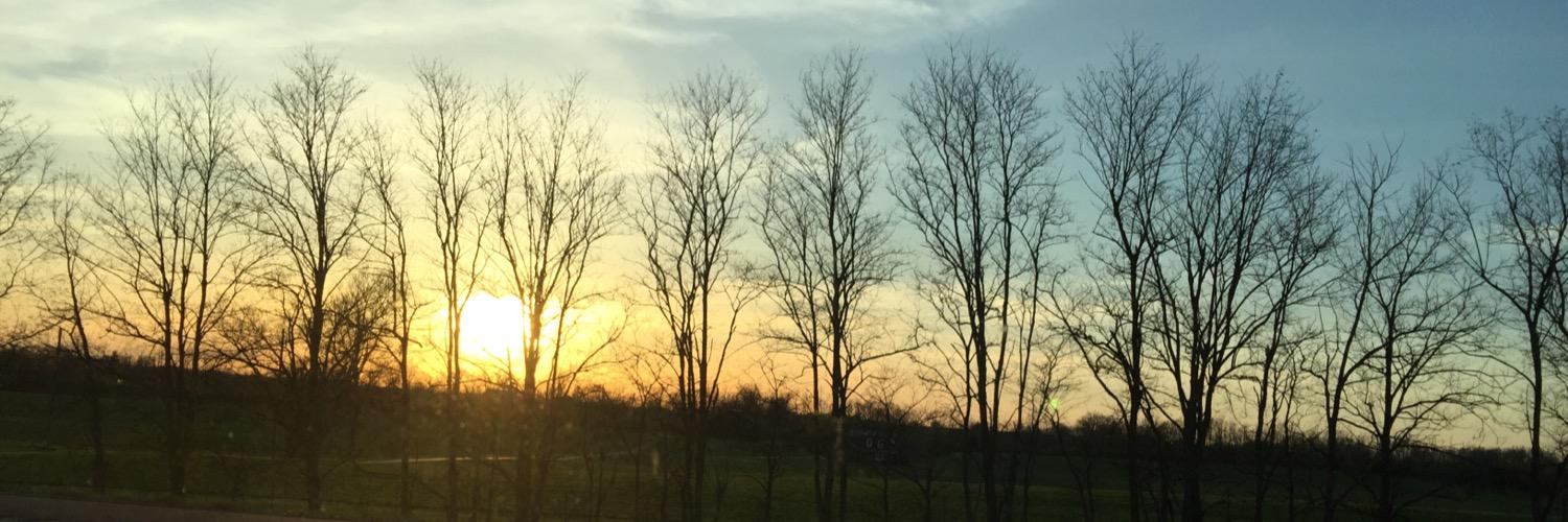 lanaihaze's profile banner image