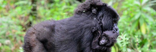 onside9 Profile Banner