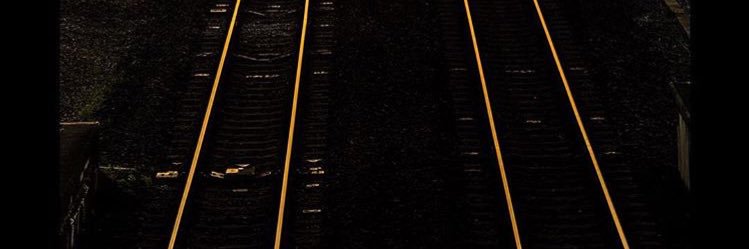 duovicia's profile banner image