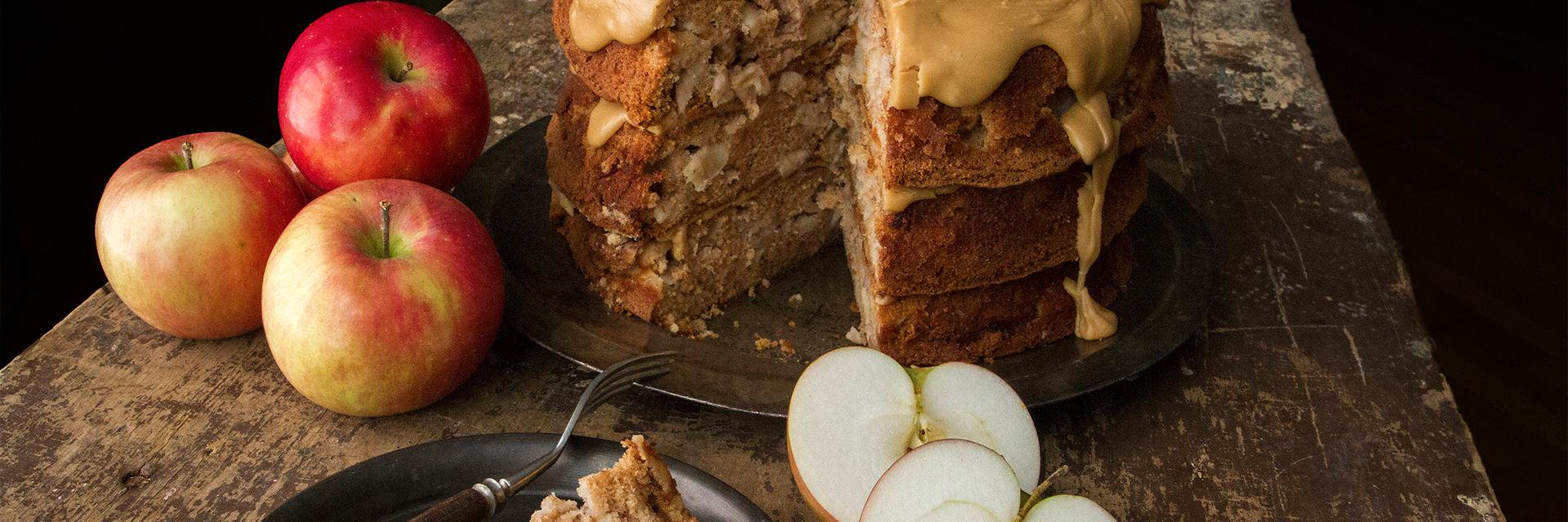 monica kass rogers banner