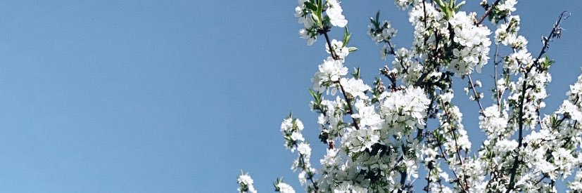 melorsborne's profile banner image