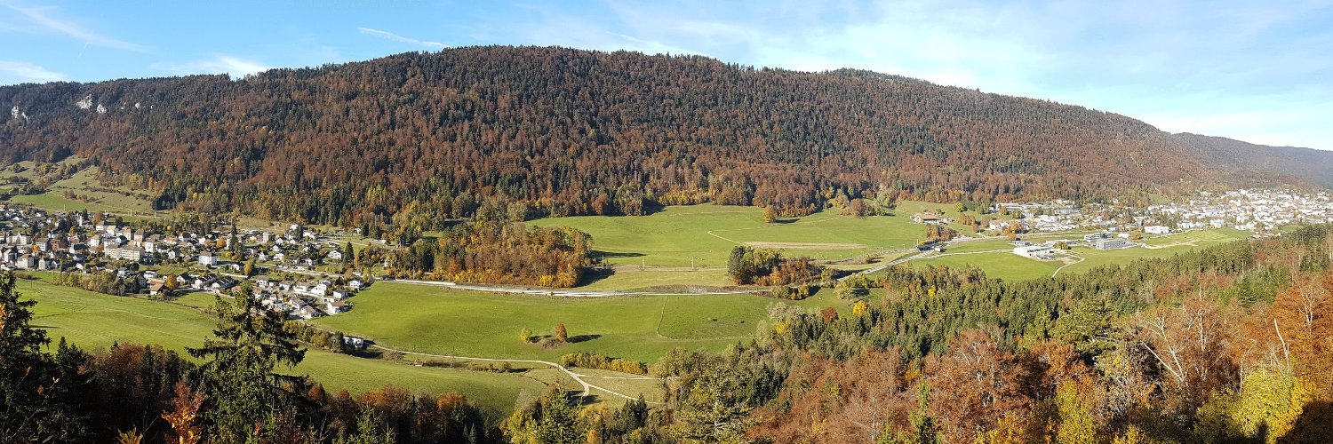 Gian Piero de Bellis banner