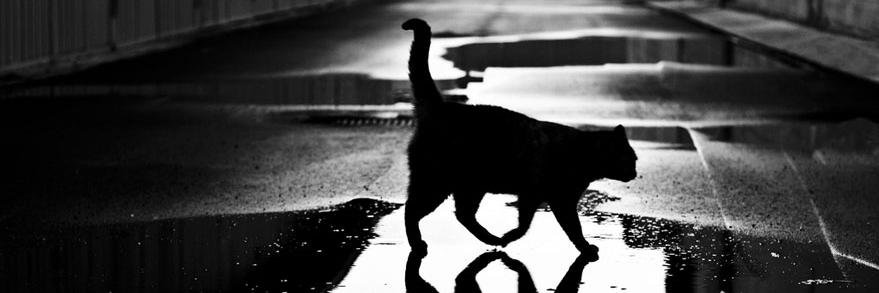 May_zmp's profile banner image