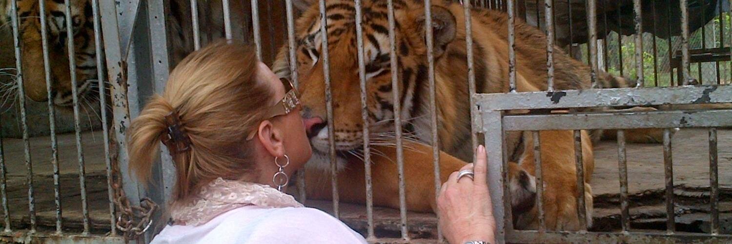 Maris Llorens banner