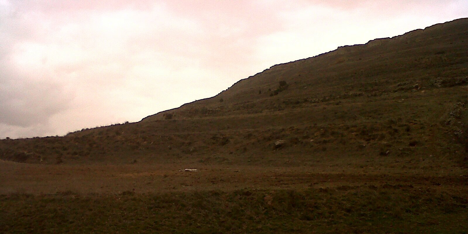 YVillarroya's profile banner image