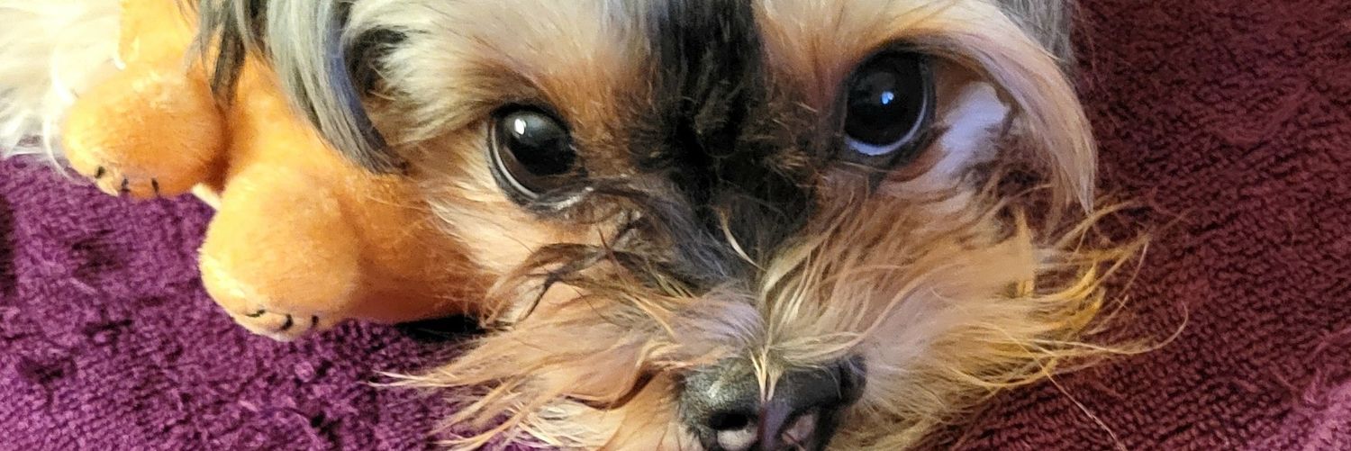 leesharon59's profile banner image