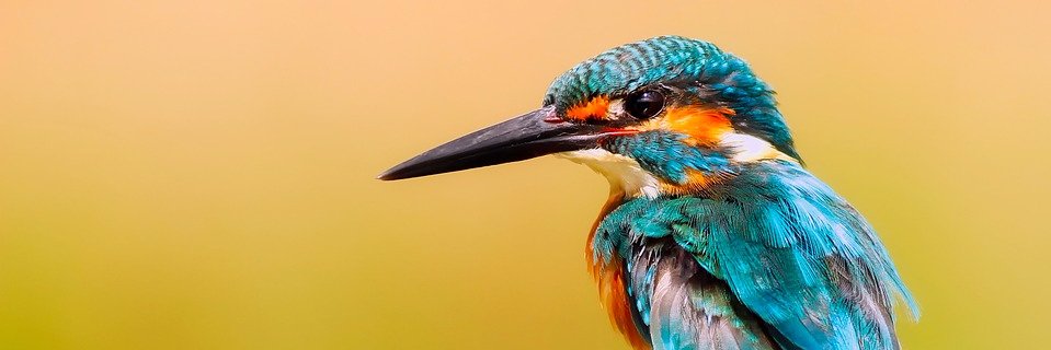 Zyberst's profile banner image