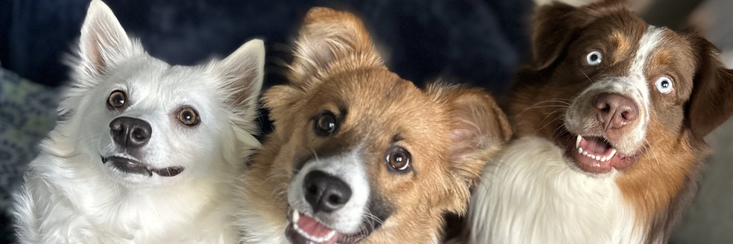 djmelmel's profile banner image