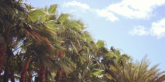 Sarah Louise Raymond banner