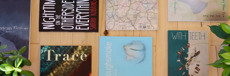 New Rivers Press banner