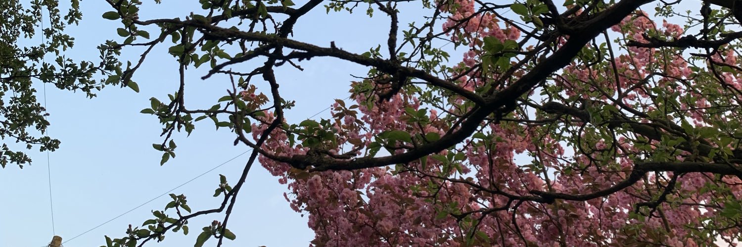 MarkAnthonyKaye's profile banner image