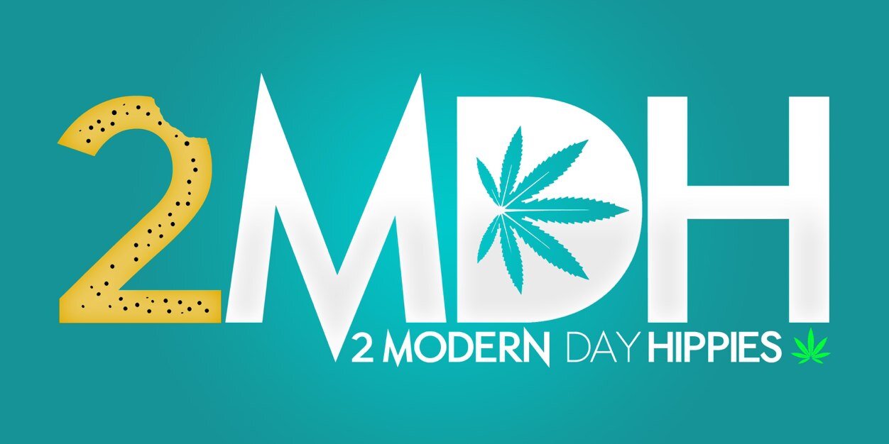 2ModDayHippies's profile banner image