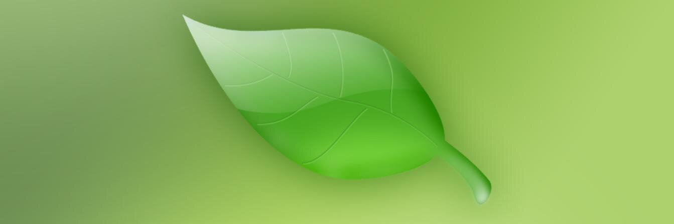 skazaruddin690's profile banner image