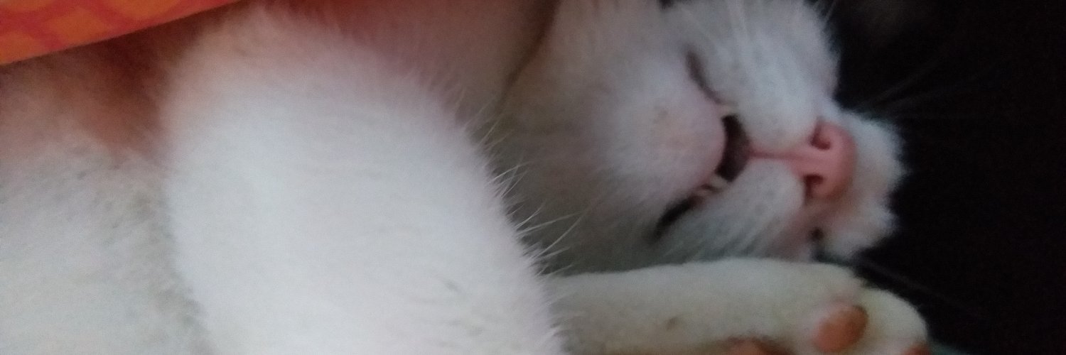 Cat_Ana12's profile banner image