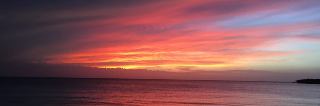cloe_guscott's profile banner image