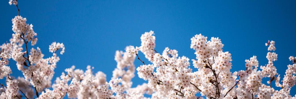 uwsocialwork's profile banner image