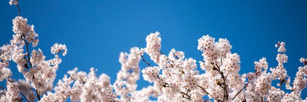 uwsocialwork Profile Banner