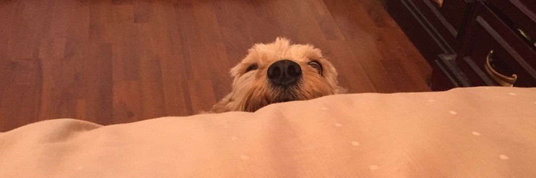 cinthiasm__'s profile banner image