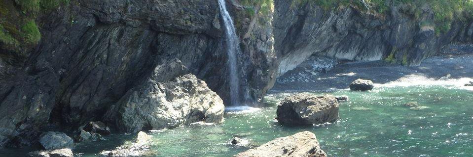 JdF Emerg Program banner