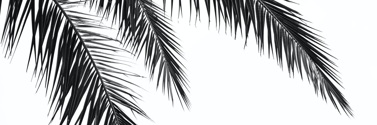 OneilTree's profile banner image