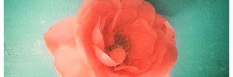 Pinkieee__'s profile banner image